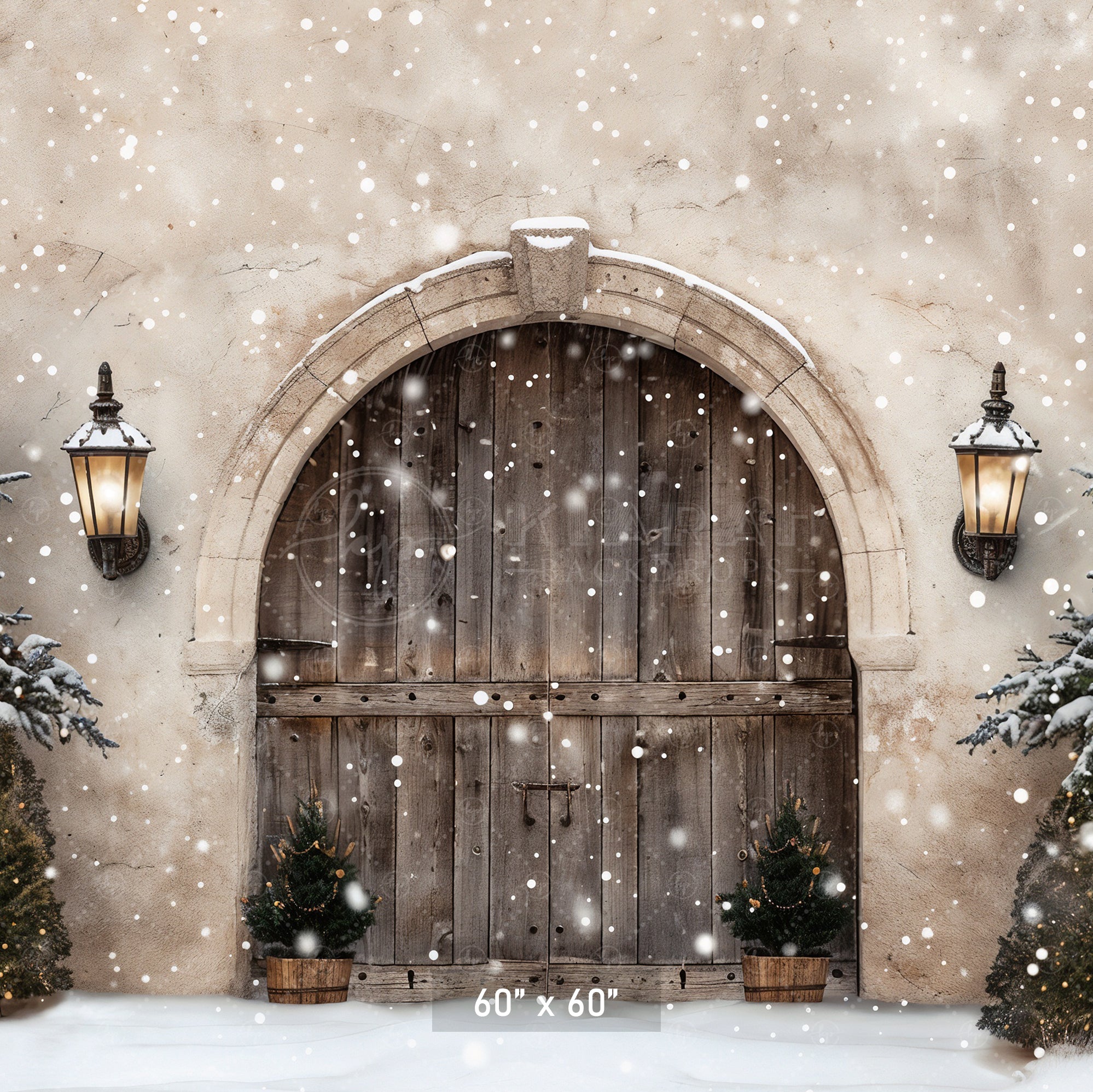 Winter Wonderland Arched Doorway Backdrop